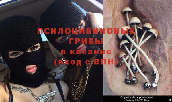 прущая мука Куйбышев