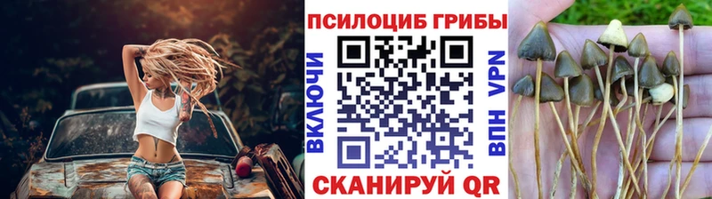 Галлюциногенные грибы Magic Shrooms  Покачи 
